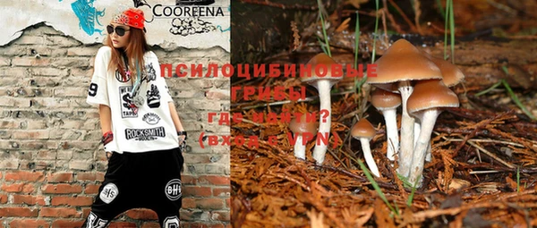 молекула духа Корсаков