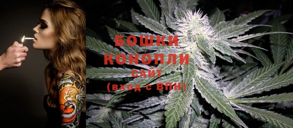 молекула духа Корсаков